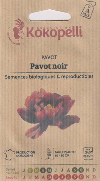 Mawseed peony "Pavot noir"